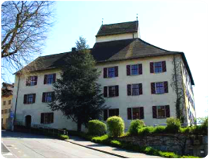 Schloss Klingnau